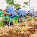 qual a importância da compostagem